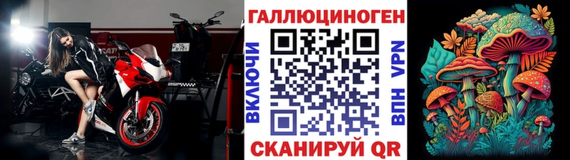 Псилоцибиновые грибы прущие грибы  Купить  Тогучин 
